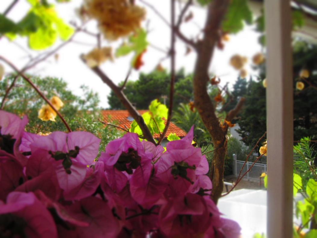 Charming Apartments With Garden Bol Bagian luar foto