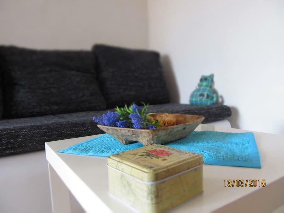 Charming Apartments With Garden Bol Bagian luar foto